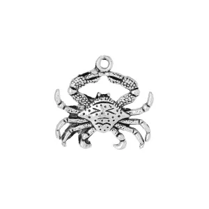 10 Pcs Tibetan Silver CRAB 23mm x 22mm Charms Pendants, Lead & Nickel Free Metal Charms Pendants Beads