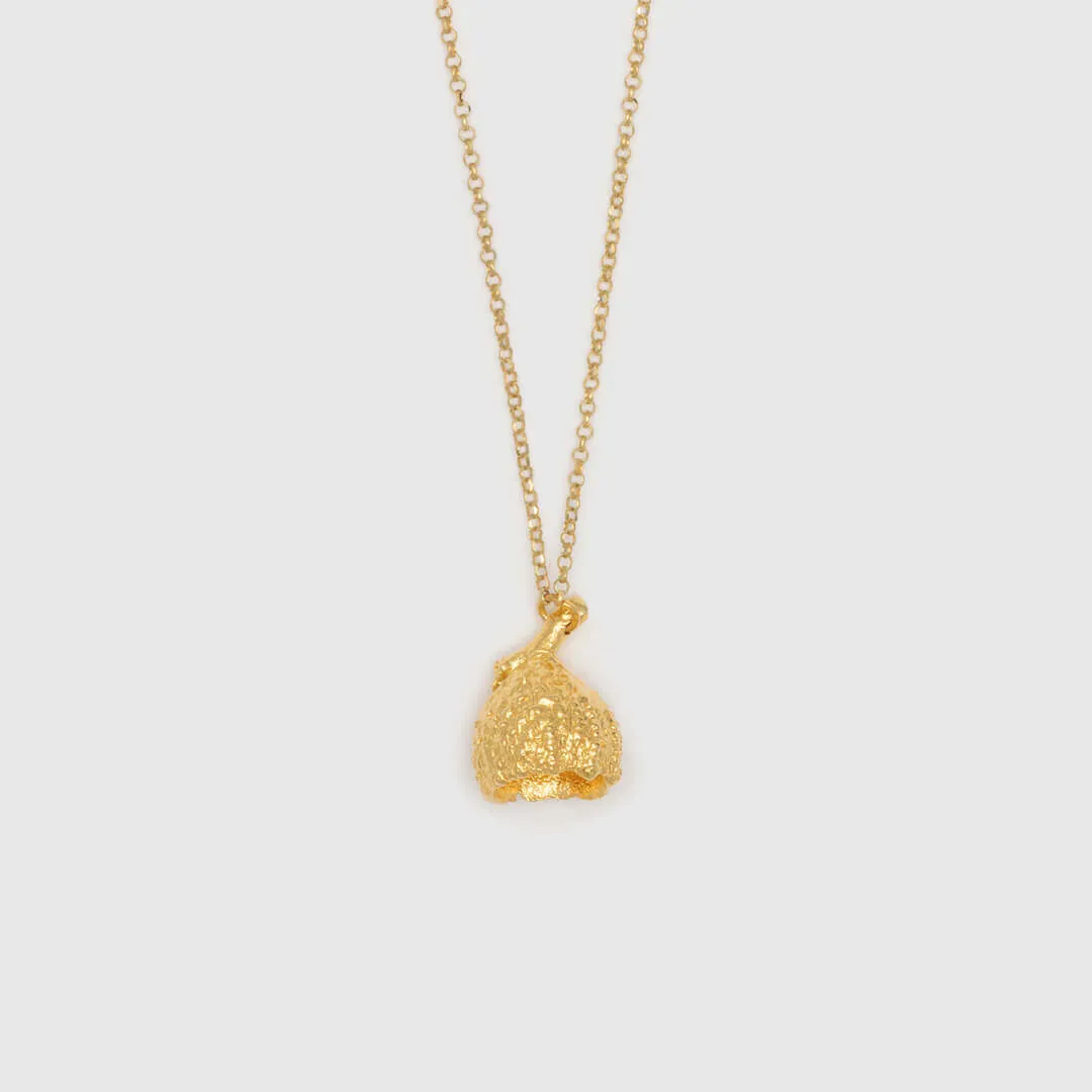 Classic acorn - sparkling necklace - gold plated