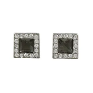 Dark Gray Crystal with Clear Crystals Stud Earring - REC939